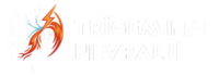 Trigeminal Nevralji Logo
